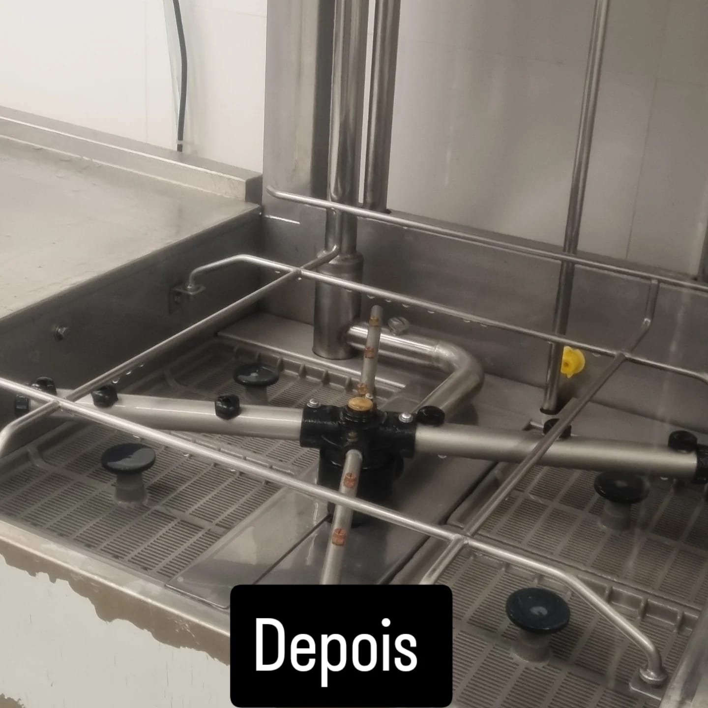 whatsapp image 2026 02 25 at 09.31.29