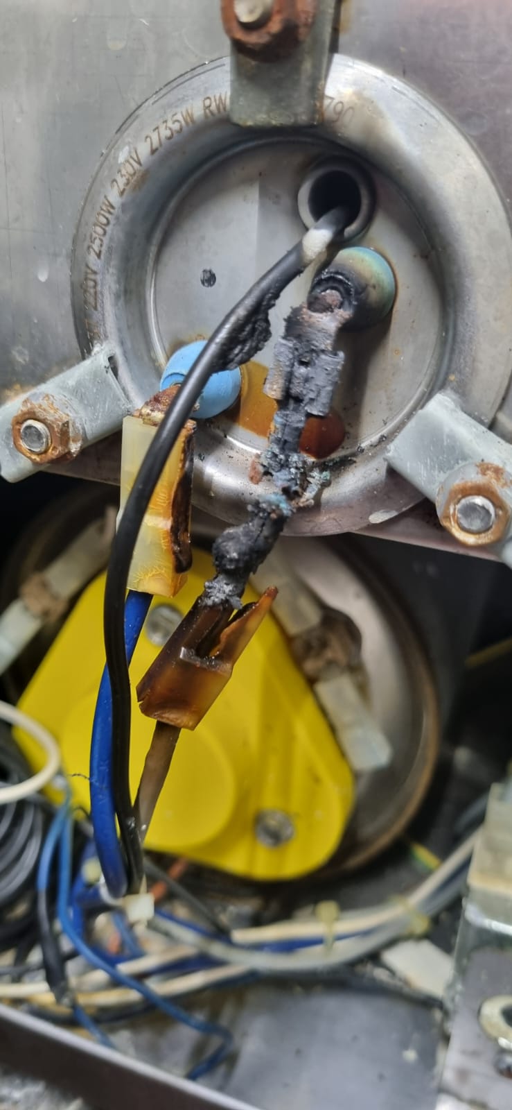 whatsapp image 2026 02 25 at 10.17.39 (1)